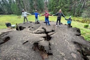 Private Day Tour to Sequoia and Kings Canyon Parks From LA - Price and logistics: what $1,090 buys you (and what it doesn’t)
