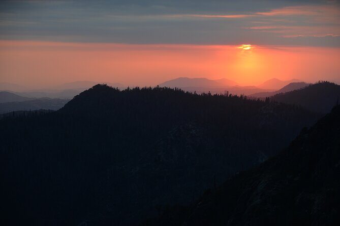 Private Day Tour to Sequoia and Kings Canyon Parks From LA - Kings Canyon sequoia grove: where scale starts to sink in