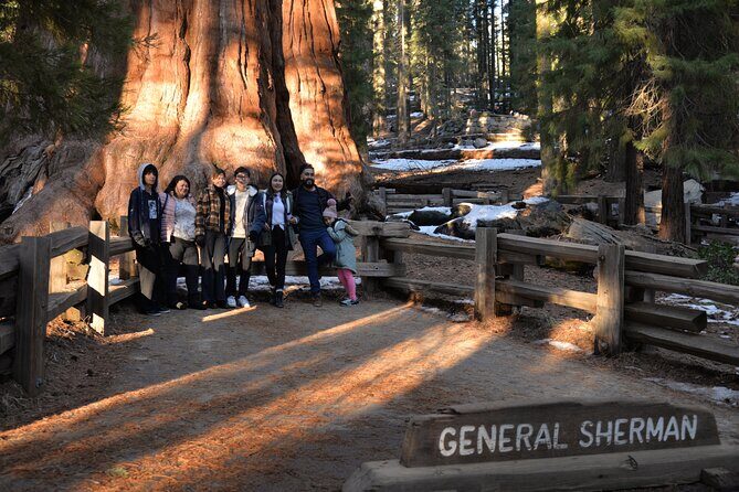 Private Day Tour to Sequoia and Kings Canyon Parks From LA - Under the General Sherman Tree: the biggest tree by volume