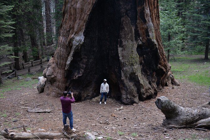 Private Day Tour to Sequoia and Kings Canyon Parks From LA - Private group size: up to five, less stress, more control
