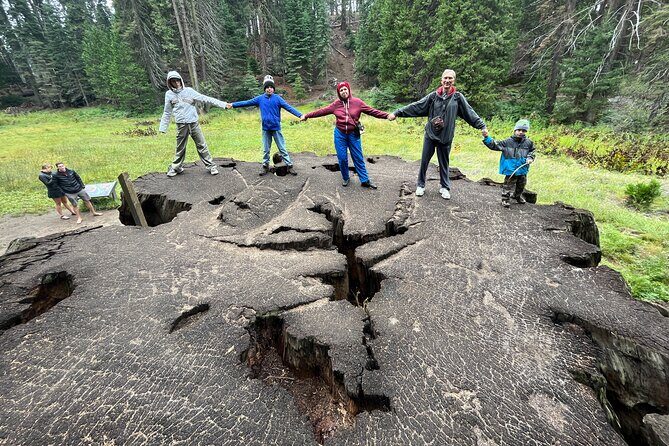 Private Day Tour to Sequoia and Kings Canyon Parks From LA - Price and logistics: what $1,090 buys you (and what it doesn’t)