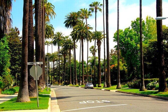 Private Getty Center to Griffith Observatory Guided Tour - A private 6-hour LA combo built for people who hate driving