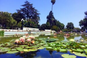 Private, Guided Sightseeing Tour of Los Angeles - Hollywood Walk of Fame: Where Your Guide Helps You See What Matters