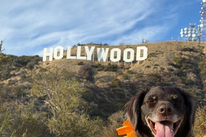 Private Hollywood Sign Hiking Tour with Select Hotel Pickup - Pickup first: how this tour keeps your day moving