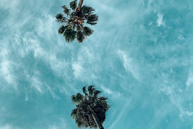 Private Photo Tour of the Best Instagram Spots in Los Angeles - Choose your LA neighborhood: six routes, one smart strategy