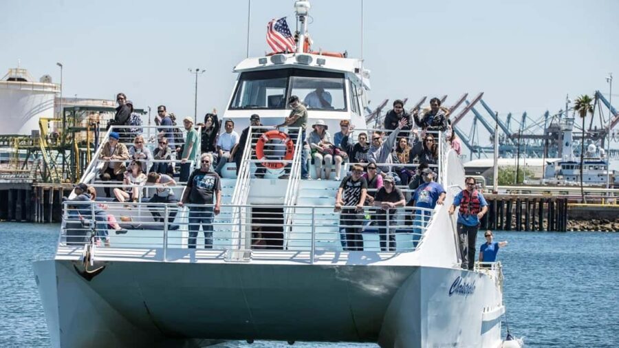 San Pedro: West Harbor LA Dolphin & Whale Watching Cruise - Upgrade Option: Adding the USS Iowa Battleship Museum