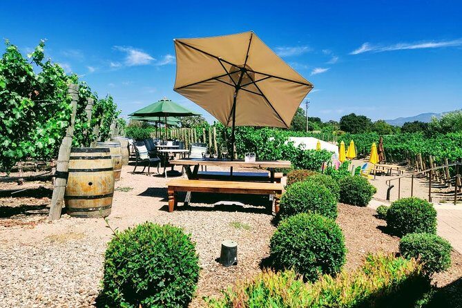 Santa Barbara Wine Tasting Day Tour from Los Angeles - The Santa Ynez Valley focus: what the included tasting at Vincent Vineyards really means