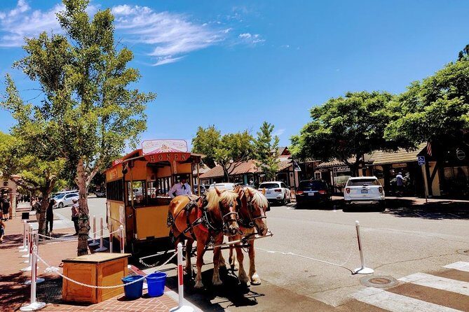 Santa Barbara Wine Tasting Day Tour from Los Angeles - The scenery breaks: Cachuma Lake and Los Padres National Forest viewpoints