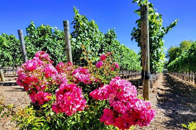 Santa Barbara Wine Tasting Day Tour from Los Angeles - Pricing and value: where the $419 can feel fair or frustrating