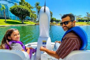 Swan Boat Rental at Rainbow Lagoon in Long Beach - Choosing Day vs Night: LED Swans and the Sunset Mood