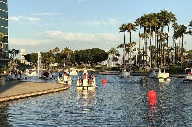 Swan Boat Rental at Rainbow Lagoon in Long Beach - Group Size and Boat Options: Pick the Right Fit