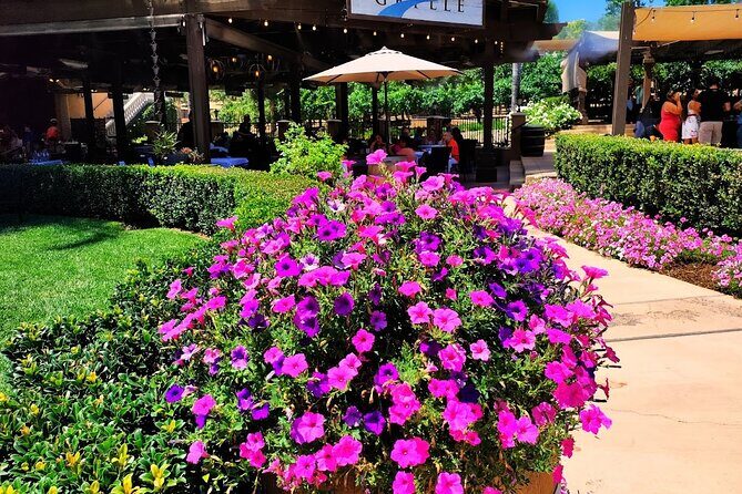 Temecula Wine Tour from Los Angeles - Key points before you go