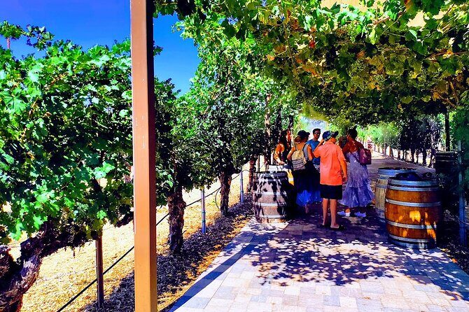 Temecula Wine Tour from Los Angeles - Why Guide Style Matters: Yuriy’s Organization and Photo Help