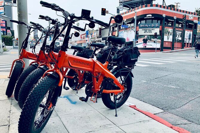 The Beverly Hills E-Bike Tour - Beverly Hills and the 90210 Moment: Hollywood Name Recognition, Explained
