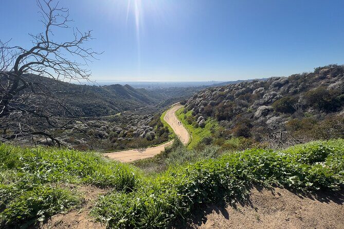 The Premier Hollywood Sign Tour: Nature in the Heart of the City - Views that help you understand L.A., not just admire it
